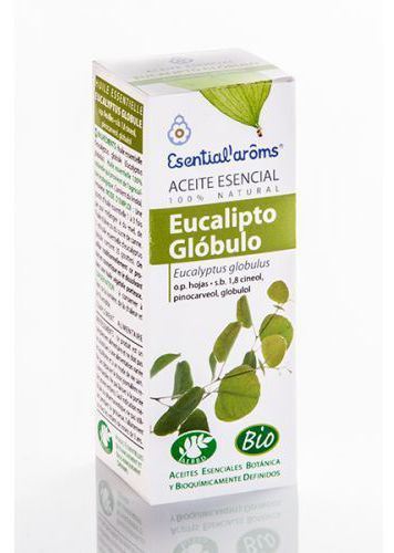 Esencja Eucalyptus Globule 10 ml Bio