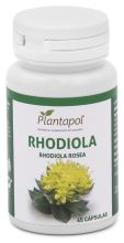 Rhodiola 45 kapsułek