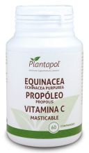 Echinacea Propolis Witamina C 60 tabletek