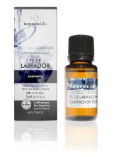 Organiczna herbata Labrador 5 ml