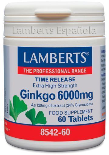 Ginkgo Biloba 6000 High Power 120 mg 30 jednostek