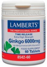 Ginkgo Biloba 6000 High Power 120 mg 30 jednostek