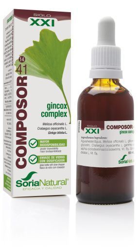 Kompozytor 41 Gincox Complex Siglo XXI 50 ml