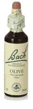 Bach 23 Oliwka 20 ml