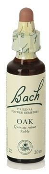 Bach 22 Dąb 20 ml