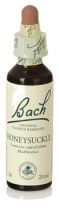 Bach 16 Wiciokrzew 20 ml