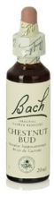 Bach 7 Kasztan Bud 20 ml