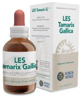 Tamarix Gallica Francuski tamaryszek 50 ml