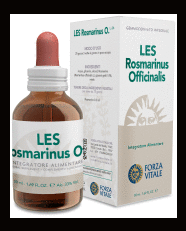 Rosmarinus Officinalis Rosemary 50 ml