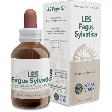 Fagus Sylvatica Buk 50 ml