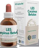 Carpinus Betulus Grab 50 ml