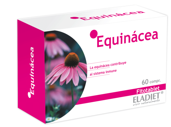 Echinacea 60 tabletek