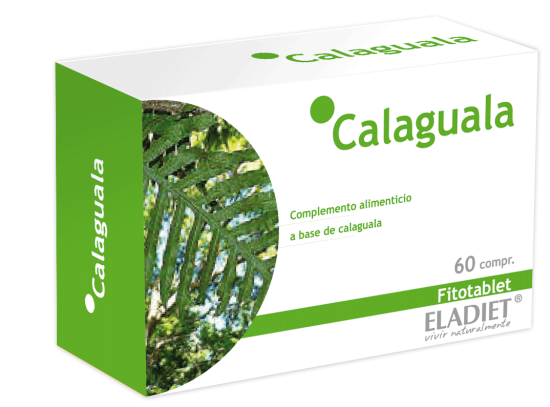 Calaguala 60 tabletek