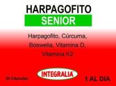 Harpagofito Senior 30 kapsułek