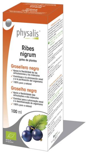 Ribes Nigrum 100 ml ekstrakt biologiczny