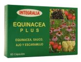 Echinacea Plus 60 kapsułek