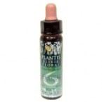 Plantis Nº 6 Samoocena 10 ml