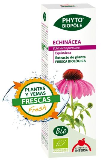 Fito-biopole echinacea