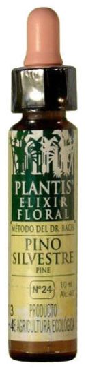 Sosna Plantis nr 24 10 ml