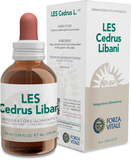 Cedrus Libani Liban Cedr 50 ml