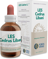 Cedrus Libani Liban Cedr 50 ml