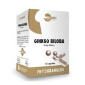 Ginkgo Biloba 45 kapsułek