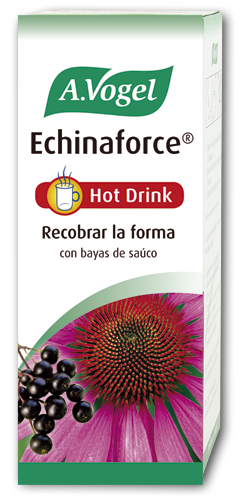 Echinaforce Hot Drink 100 mililitrów