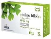 Ginkgo Biloba 60 kapsułek