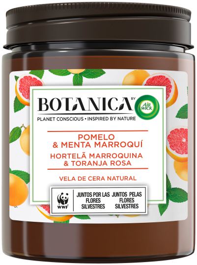 Aromatyczna świeca z naturalnego wosku Grapefruit i Maroccan Mint 205 gr